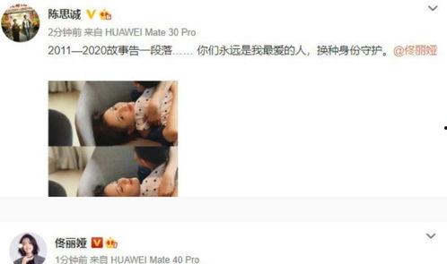 圈内爆料陈思诚佟丽娅,圈内爆料背后的真相  第3张